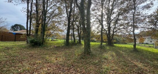 Terrain à bâtir à , Gironde