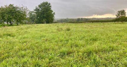 Polliat Terrain à bâtir - 2258386-754annonce2202509020r3zn.jpeg Maisons France Confort