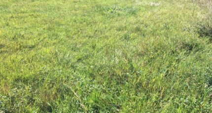 Péronnas Terrain à bâtir - 2285921-754annonce220250926PC0sR.jpeg Maisons France Confort