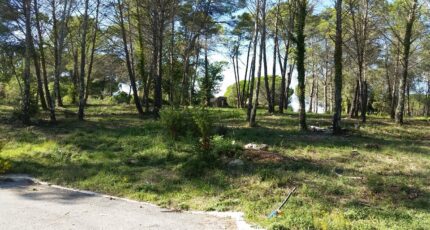 Fréjus Terrain à bâtir - 2336099-3701annonce3202511123mJHa.jpeg Maisons France Confort