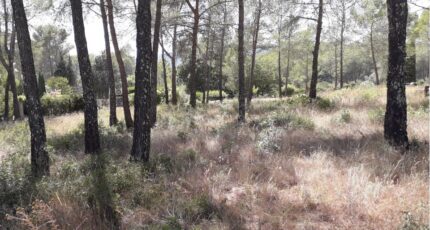 Fréjus Maison neuve - 2336100-3701annonce120251112HyLtU.jpeg Maisons France Confort