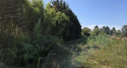 Tramoyes Maison neuve - 2336094-11092annonce420251110FGg4q.jpeg Maisons France Confort