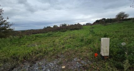 Saint-Georges-de-Reneins Maison neuve - 2336114-11092annonce220251110EBgDK.jpeg Maisons France Confort