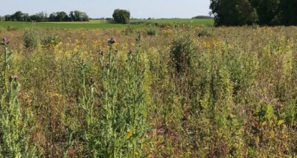 Ballon Maison neuve - 2336190-10442annonce120251113BZXpx.jpeg Maisons France Confort