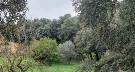 Plan-d'Orgon Maison neuve - 2293531-7289annonce120251003nNi1B.jpeg Maisons France Confort