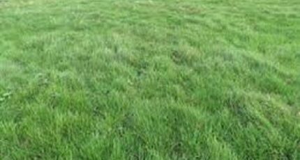 Nemours Terrain à bâtir - 2334977-1635annonce120251112Ussit.jpeg Maisons France Confort