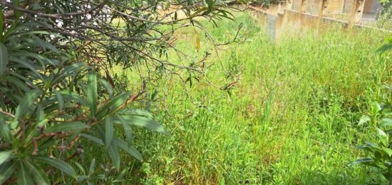 Terrain à bâtir à , Bouches-du-Rhône