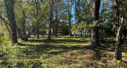 Vensac Maison neuve - 2337853-10624annonce120251112PFiCE.jpeg Maisons France Confort