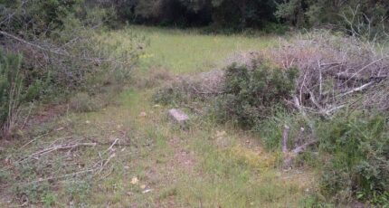 La Cadière-d'Azur Terrain à bâtir - 2264118-7080annonce120250908TfCrA.jpeg Maisons France Confort