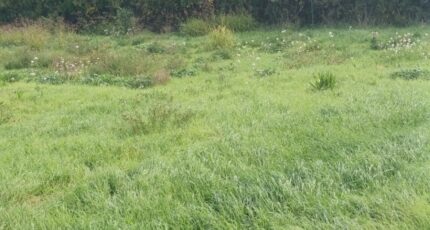 Pertuis Terrain à bâtir - 2337673-2970annonce120251114Txbbh.jpeg Maisons France Confort