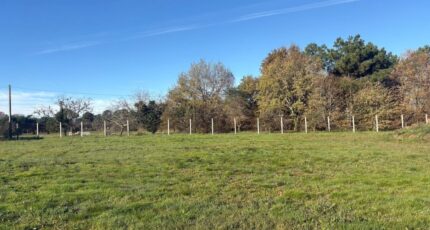 Les Peintures Maison neuve - 2338004-10947annonce220251114pzUIp.jpeg Maisons France Confort