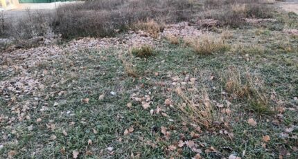 Pertuis Terrain à bâtir - 2337978-2970annonce120251114sStnd.jpeg Maisons France Confort