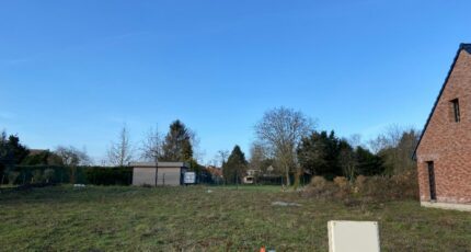 Arleux Maison neuve - 2257352-10261annonce120241003o2v7V.jpeg Maisons France Confort