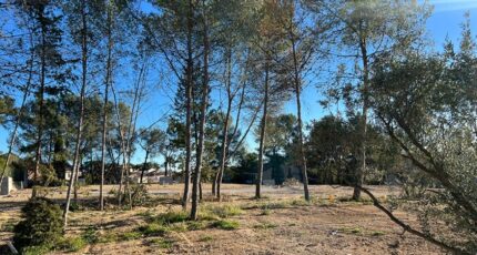 Saint-Clément-de-Rivière Terrain à bâtir - 2338575-3243annonce120250325pFiCF.jpeg Maisons France Confort