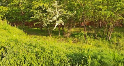 Gréasque Maison neuve - 2338734-11041annonce320251114X4Gc0.jpeg Maisons France Confort