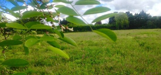 Terrain à bâtir à Cavaillon, Provence-Alpes-Côte d'Azur
