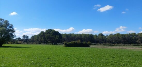 Terrain à bâtir à Sénas, Provence-Alpes-Côte d'Azur