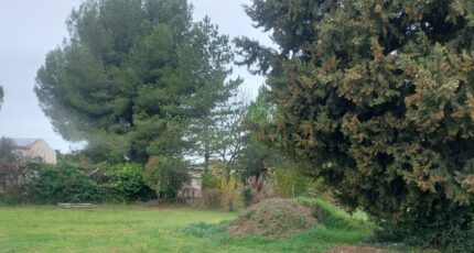 Cheval-Blanc Terrain à bâtir - 2296647-417annonce220251007qrB0q.jpeg Maisons France Confort