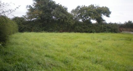 Alleins Terrain à bâtir - 2305006-417annonce320251014GsW01.jpeg Maisons France Confort