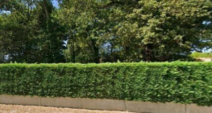 Saint-Aubin-de-Médoc Maison neuve - 2338626-11674annonce120251114K10Al.jpeg Maisons France Confort