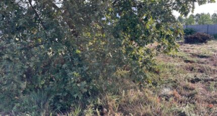 Andernos-les-Bains Terrain à bâtir - 2282523-11276annonce320250924Cu5Js.jpeg Maisons France Confort