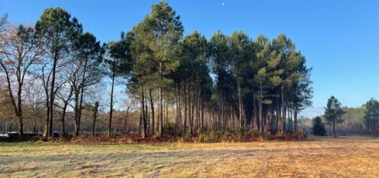 Terrain à bâtir à Le Porge, Nouvelle-Aquitaine