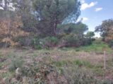 Terrain à bâtir à Puget-sur-Argens (83480) 2338950-11157annonce120251114dkJTO.jpeg Maisons France Confort