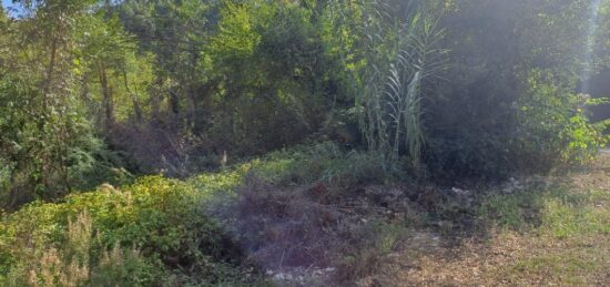 Terrain à bâtir à Tourrette-Levens, Provence-Alpes-Côte d'Azur