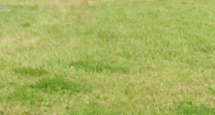 Mérignac Maison neuve - 2339389-3601annonce1202511156z3id.jpeg Maisons France Confort