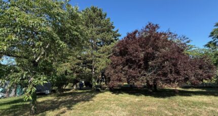 Monts Terrain à bâtir - 2249185-10341annonce220250822kNCnU.jpeg Maisons France Confort