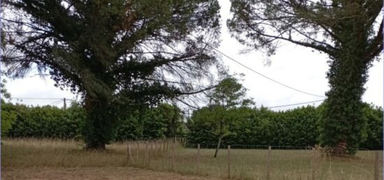 Terrain à bâtir à Langon, Nouvelle-Aquitaine