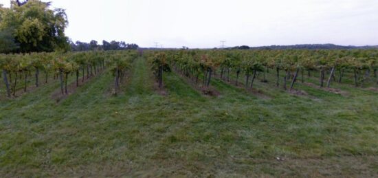 Terrain à bâtir à , Gironde