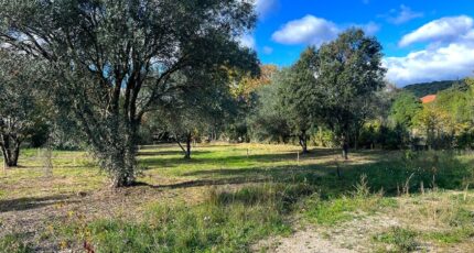 Les Matelles Terrain à bâtir - 2340529-3243annonce3202507258hJbx.jpeg Maisons France Confort