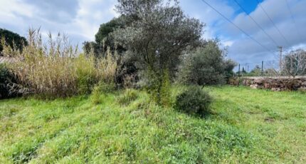 Puget-sur-Argens Maison neuve - 2246979-4529annonce120250819mXzw9.jpeg Maisons France Confort