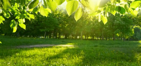 Terrain à bâtir à Castelnau-de-Médoc, Nouvelle-Aquitaine
