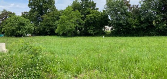 Terrain à bâtir à Louchats, Nouvelle-Aquitaine