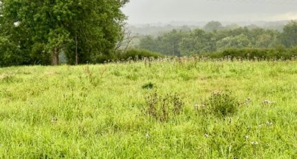 Polliat Maison neuve - 2340720-754annonce320251117ErAEG.jpeg Maisons France Confort