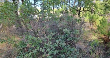 Gréasque Terrain à bâtir - 2341091-11041annonce4202511173S2OX.jpeg Maisons France Confort