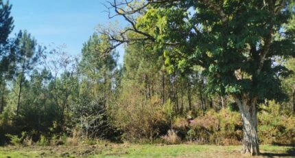 Sanguinet Terrain à bâtir - 2341087-3957annonce120251117b4eDa.jpeg Maisons France Confort