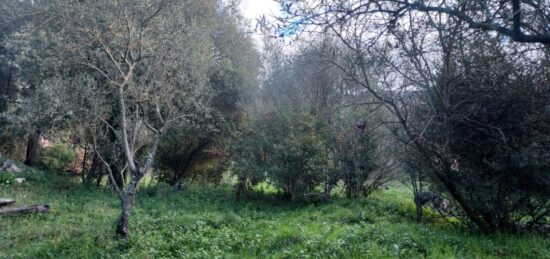 Terrain à bâtir à , Var