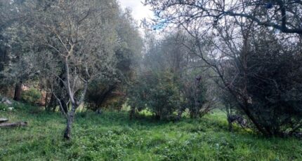 Camps-la-Source Maison neuve - 2341127-5922annonce220251118Az3Ze.jpeg Maisons France Confort