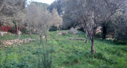 Camps-la-Source Maison neuve - 2341127-5922annonce320251118kiGRh.jpeg Maisons France Confort