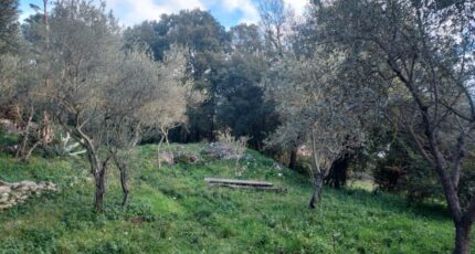 Camps-la-Source Maison neuve - 2341127-5922annonce420251118QkxSO.jpeg Maisons France Confort