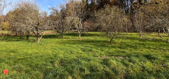 Terrain à bâtir à Saint-Clément, Nouvelle-Aquitaine
