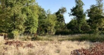 Saint-Genès-de-Lombaud Terrain à bâtir - 2281202-10776annonce1202509237HLi2.jpeg Maisons France Confort