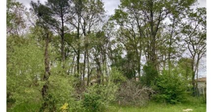 Hourtin Terrain à bâtir - 2341189-10895annonce120251118xJVFv.jpeg Maisons France Confort