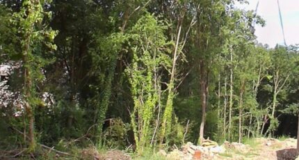 Tigeaux Terrain à bâtir - 2341072-10626annonce120251117RZQso.jpeg Maisons France Confort