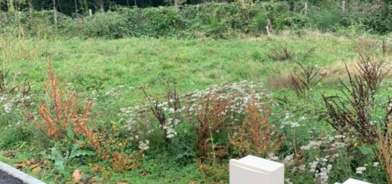 Terrain à bâtir à Baulne, Île-de-France
