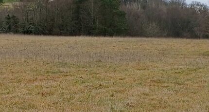 Verteillac Terrain à bâtir - 2304895-9455annonce120251014V2hFR.jpeg Maisons France Confort