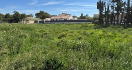 Vacqueyras Terrain à bâtir - 2298830-616annonce2202510086qMc3.jpeg Maisons France Confort